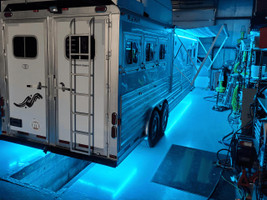 Horse Trailer Under-Glow Light Kit Questions & Answers